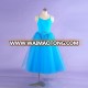 AP086 professional show dance wear ballet tutus dress wholesale frozen tutu dress